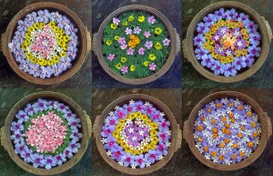 6 x Mandala_01